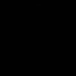 Meet your Posher, Gisselle